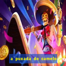 a puxada do camelo no jogo do bicho